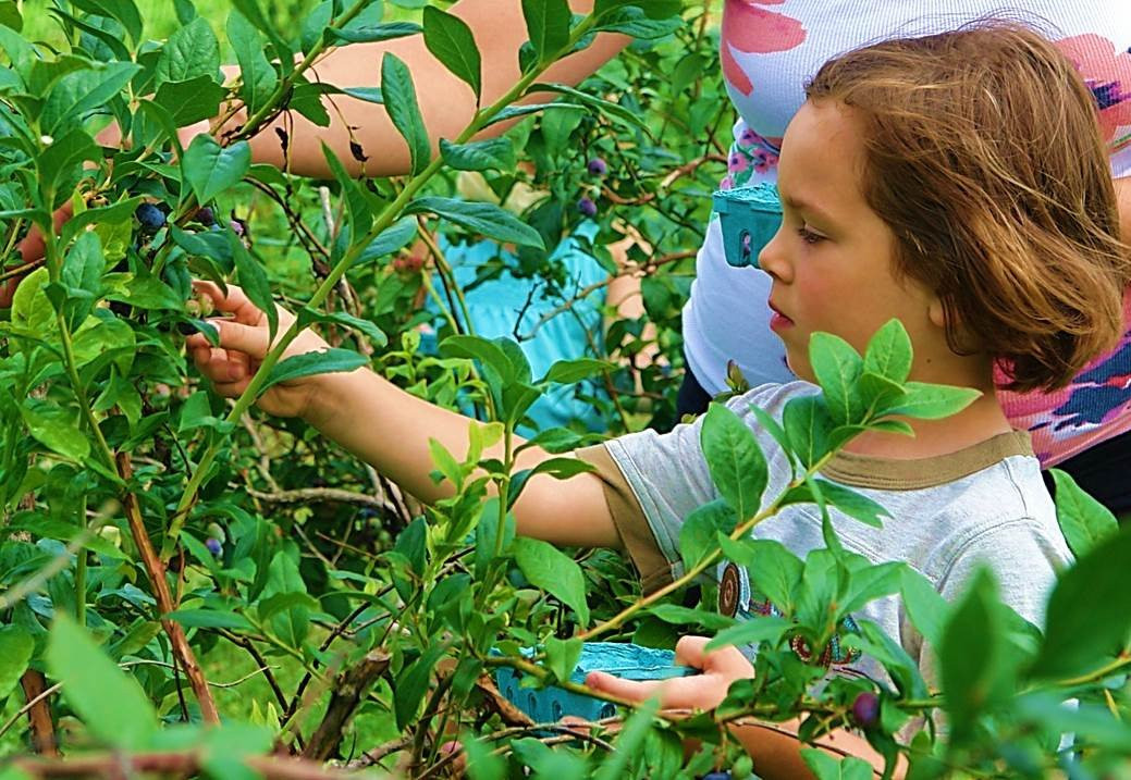 Snipes Farm & Education Center-Morrisville必去景点