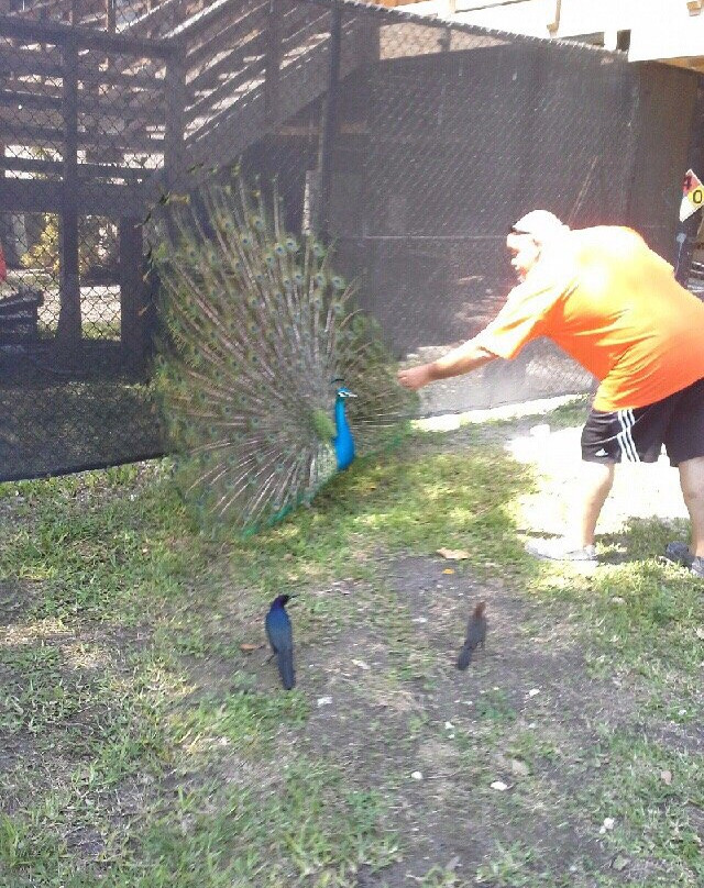 Under The Sun Tours-庞帕诺比奇必去景点