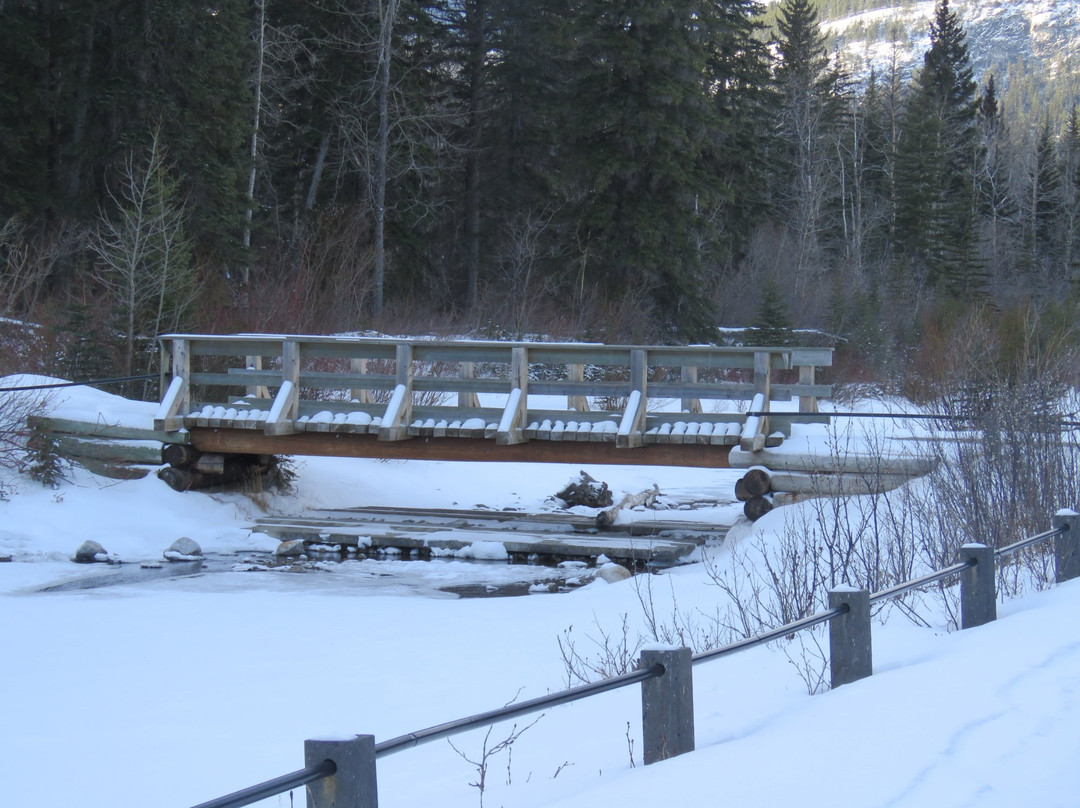 Mt. Lorette Ponds-Peter Lougheed Provincial Park必去景点