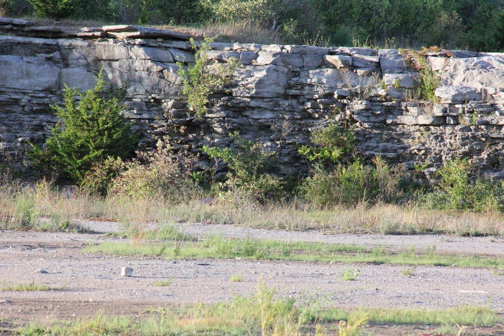 Wainfleet Wetlands Conservation Area-Wainfleet必去景点