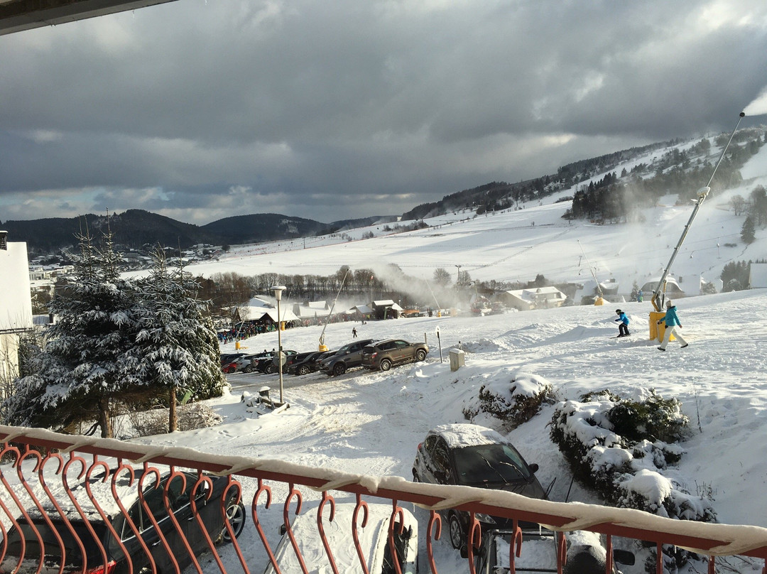 Skigebiet Willingen-Willingen必去景点