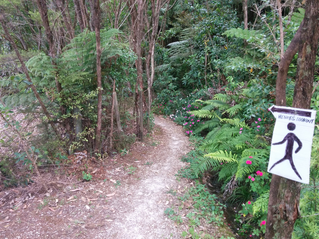 Whitianga Bike Park景点图片