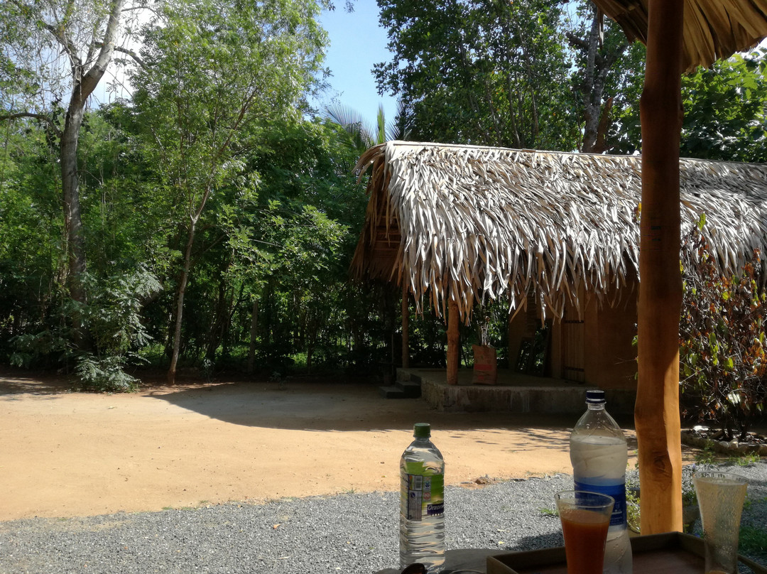 私人有机生活住宿加早餐旅馆