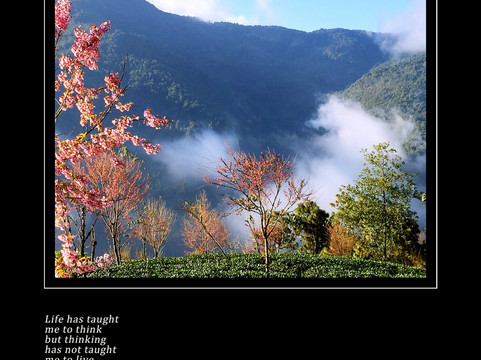 无量山-景东彝族自治县必去景点