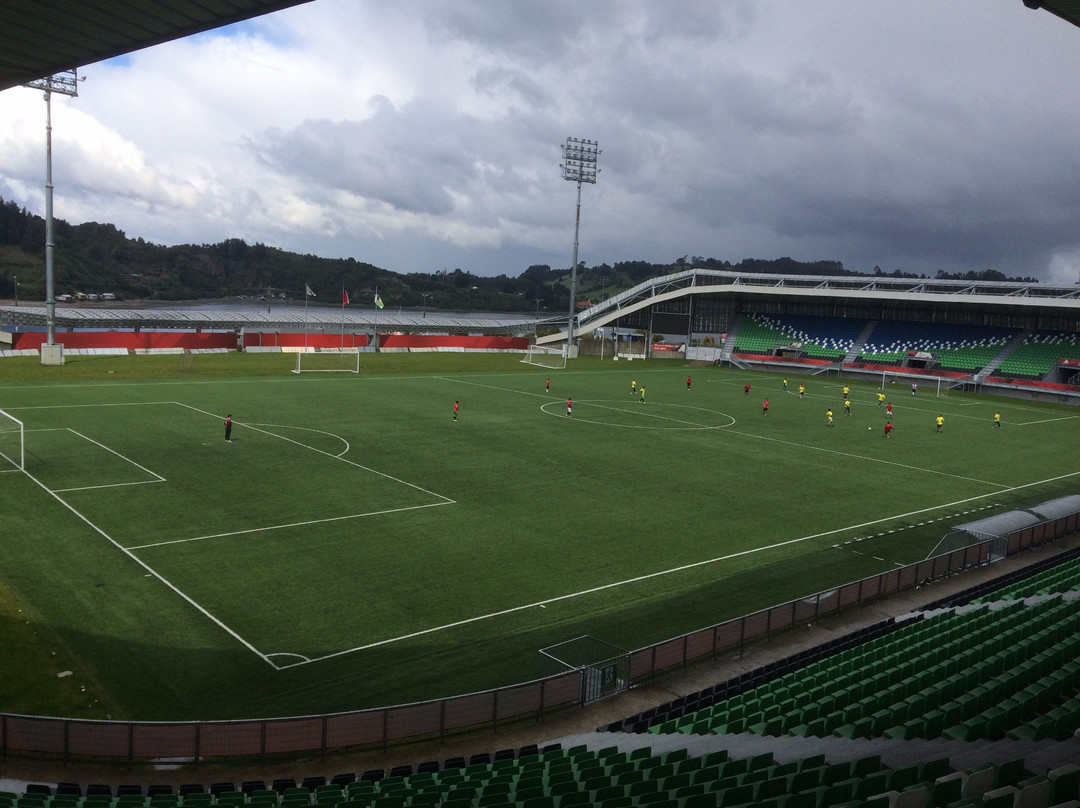 Isla Puluqui旅游景点-Estadio Chinquihue