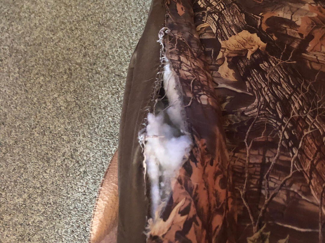 White Tail Resort主图