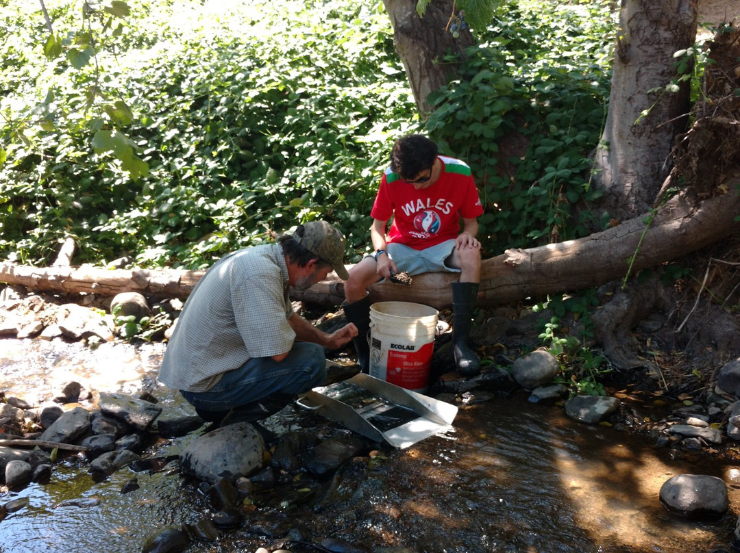 Gold Prospecting Adventures景点图片