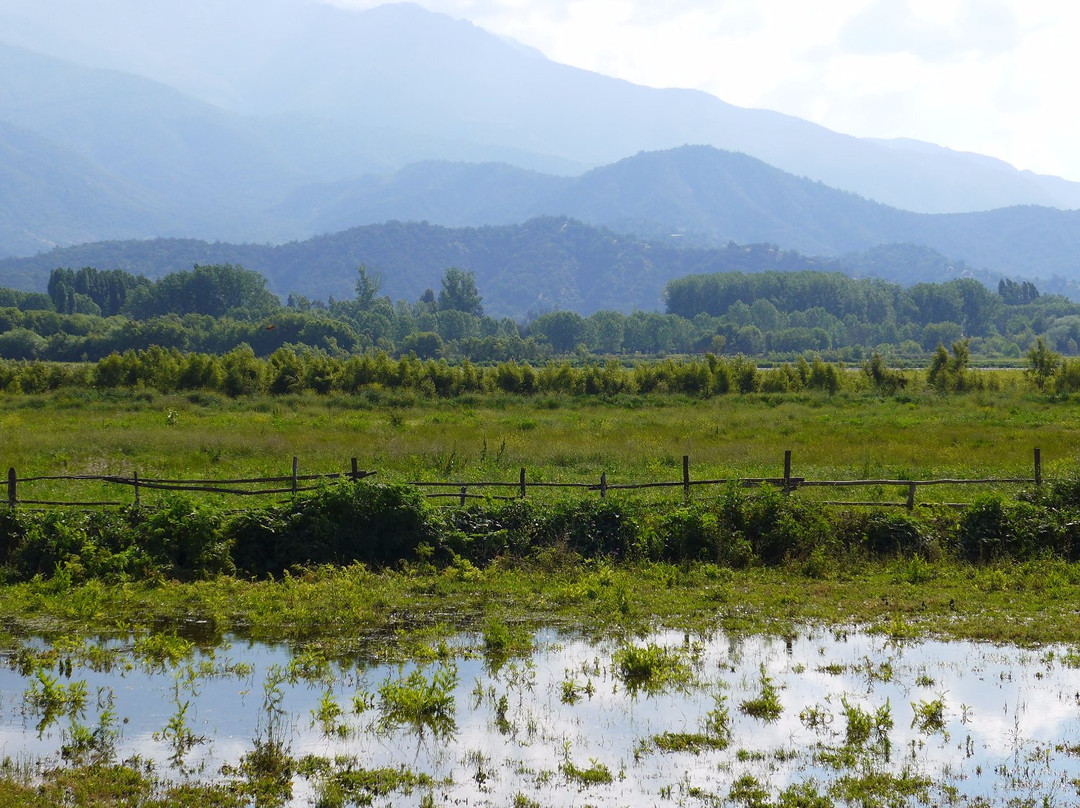 Laguna de Aculeo景点图片