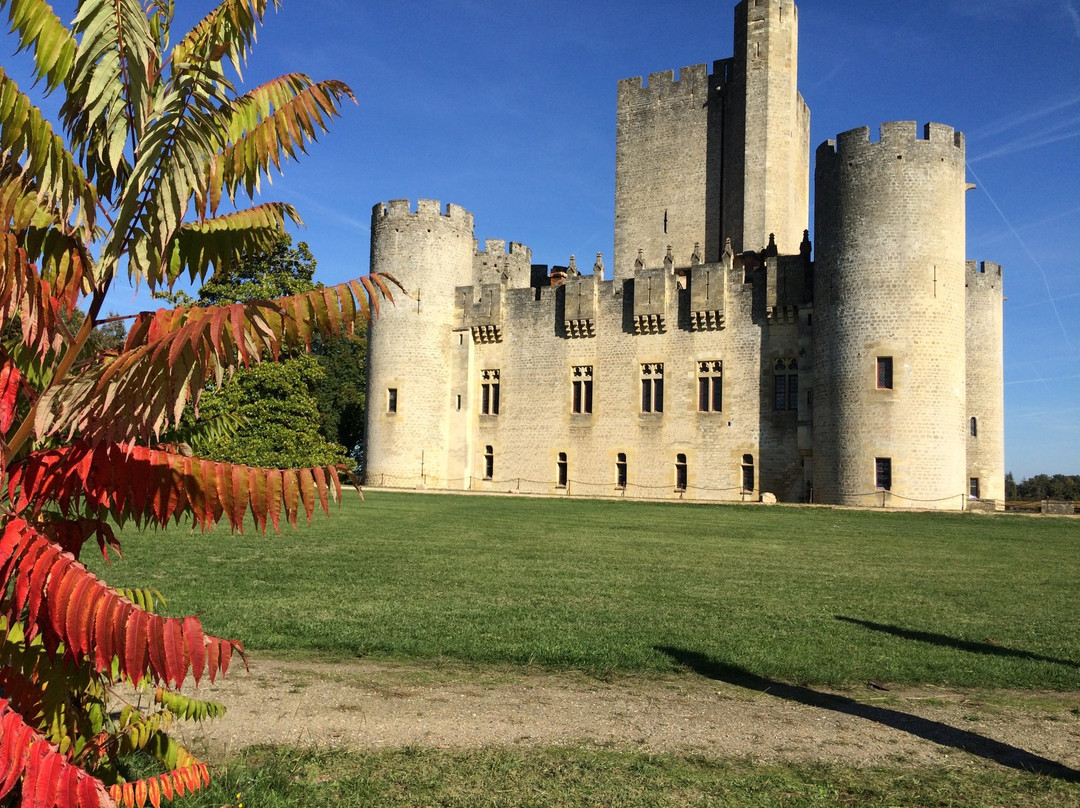 Chateau de Roquetaillade景点图片