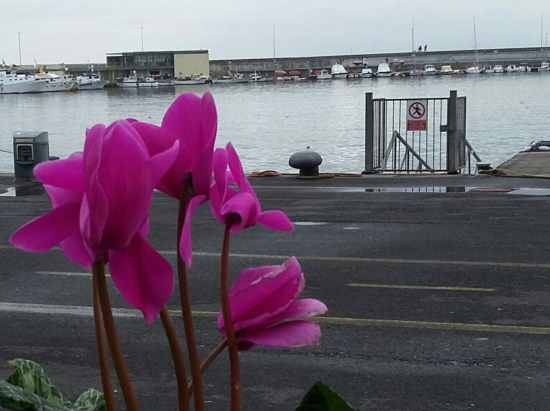 Caffetteria & Gelateria Corte