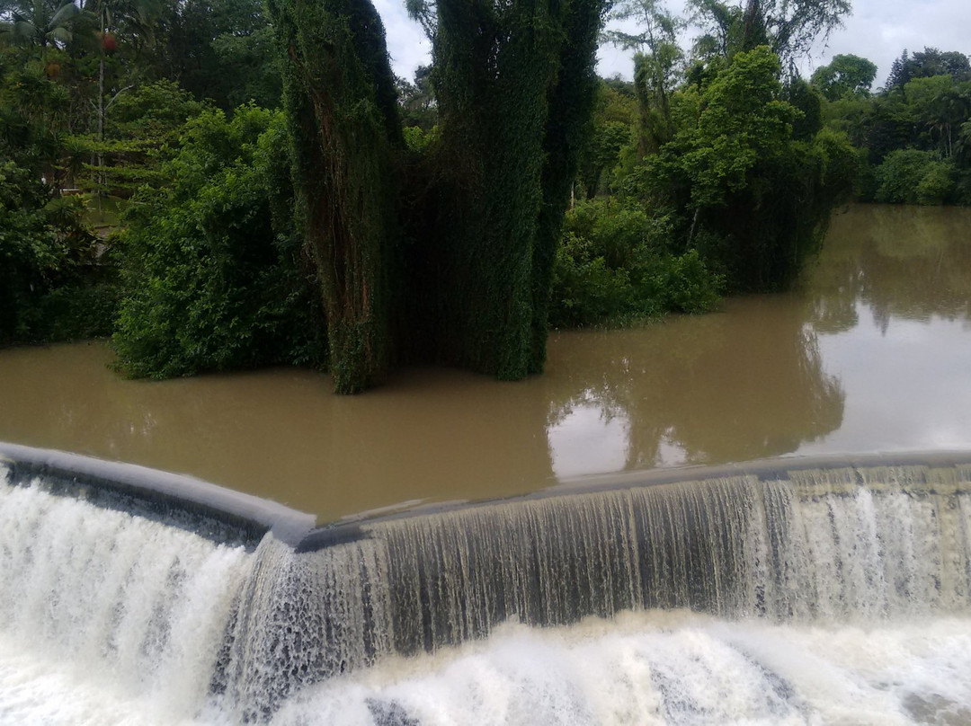 Complexo Turistico Jardim do Imigrante