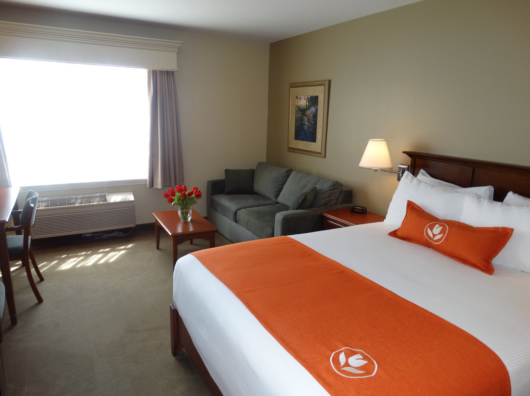 Amsterdam Inn & Suites Moncton