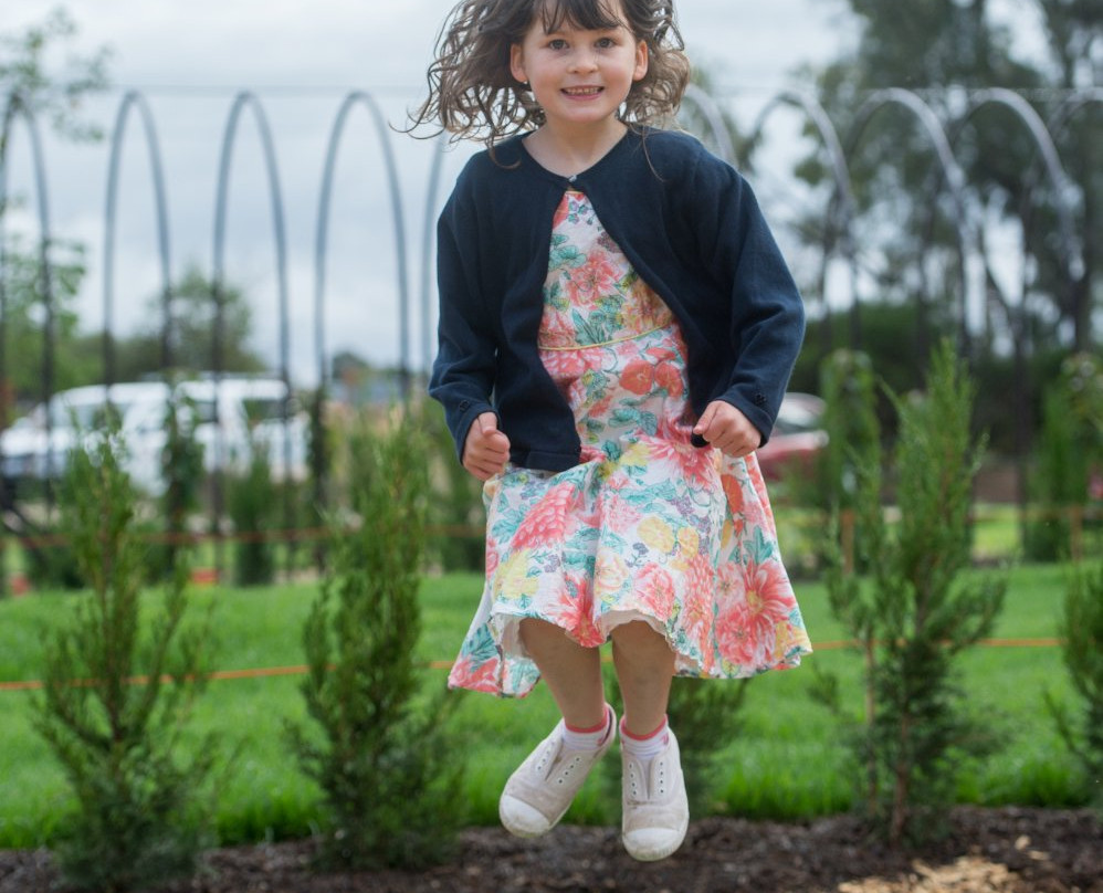 Bendigo Botanic Gardens景点图片