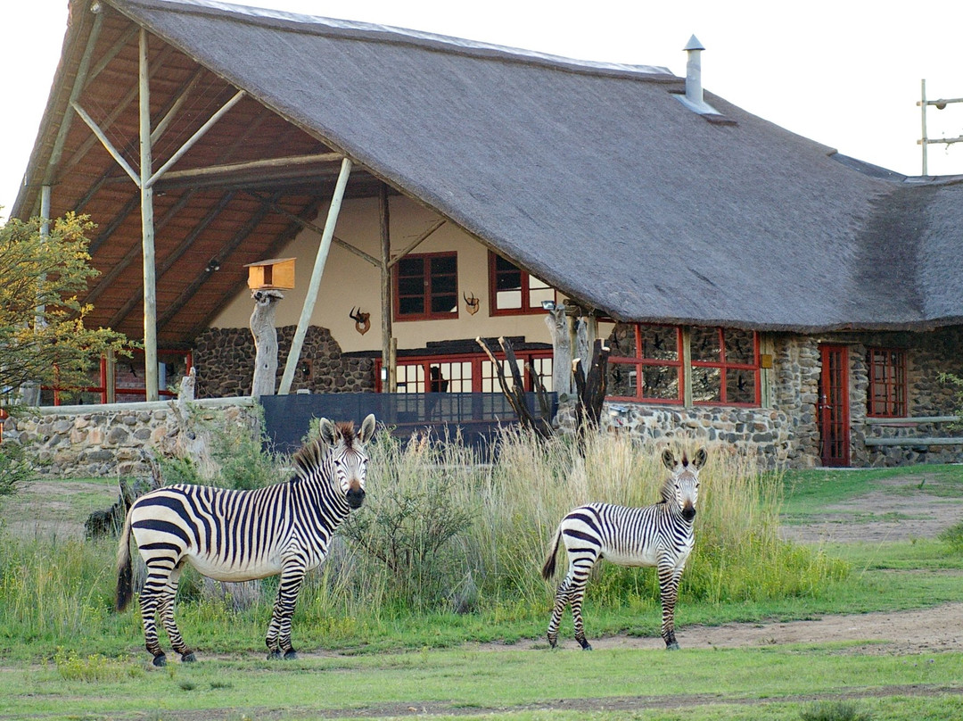 Thula Game Lodge