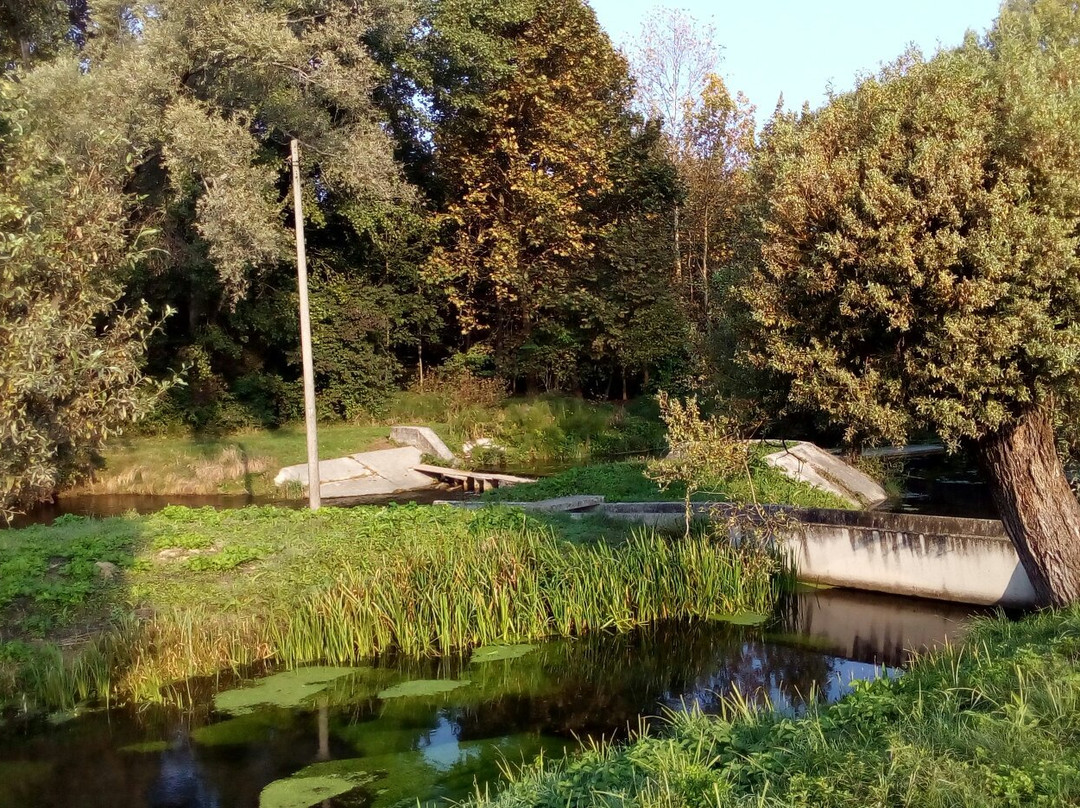 Parco Palude di Onara景点图片
