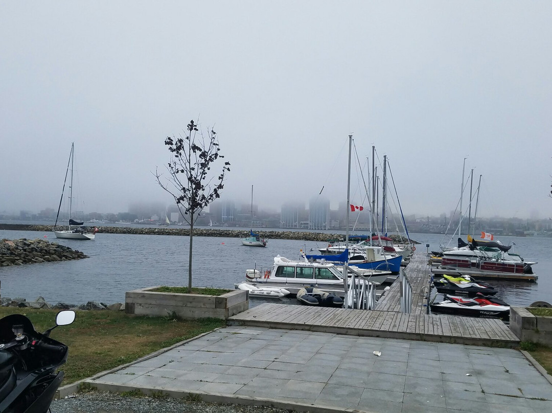 Harbour Water Taxi-达特茅斯必去景点