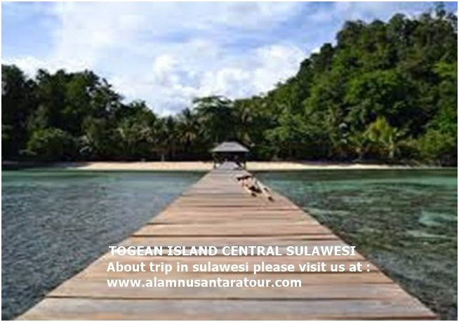 Kepulauan Togean Nasional Park-托吉安群岛必去景点