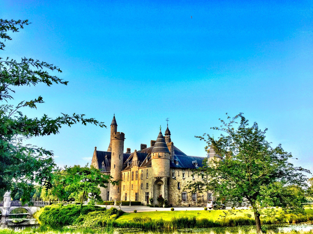 Castle Marnix de Sainte Aldegonde景点图片