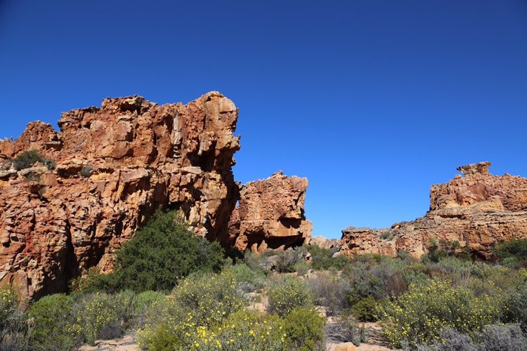 Cederberg旅游攻略图片