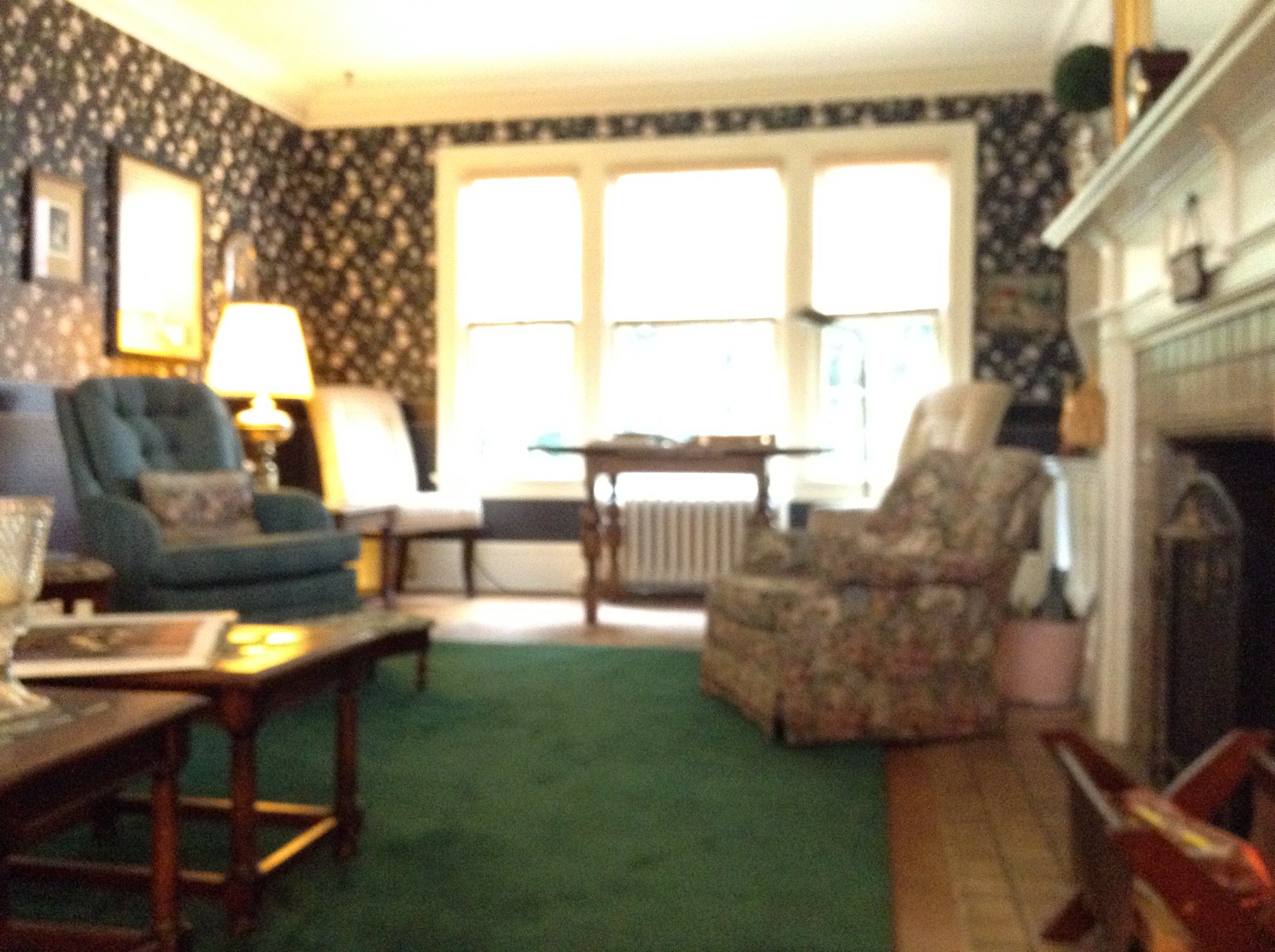 Wildwood Bed & Breakfast-家庭/游戏区