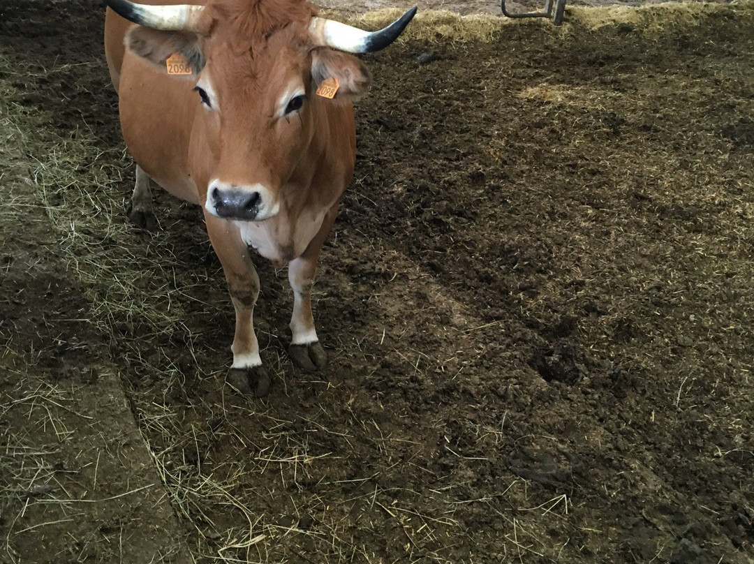 Ferme de Serene主图