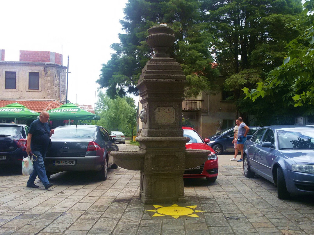 Old Fountain in Virpazar景点图片