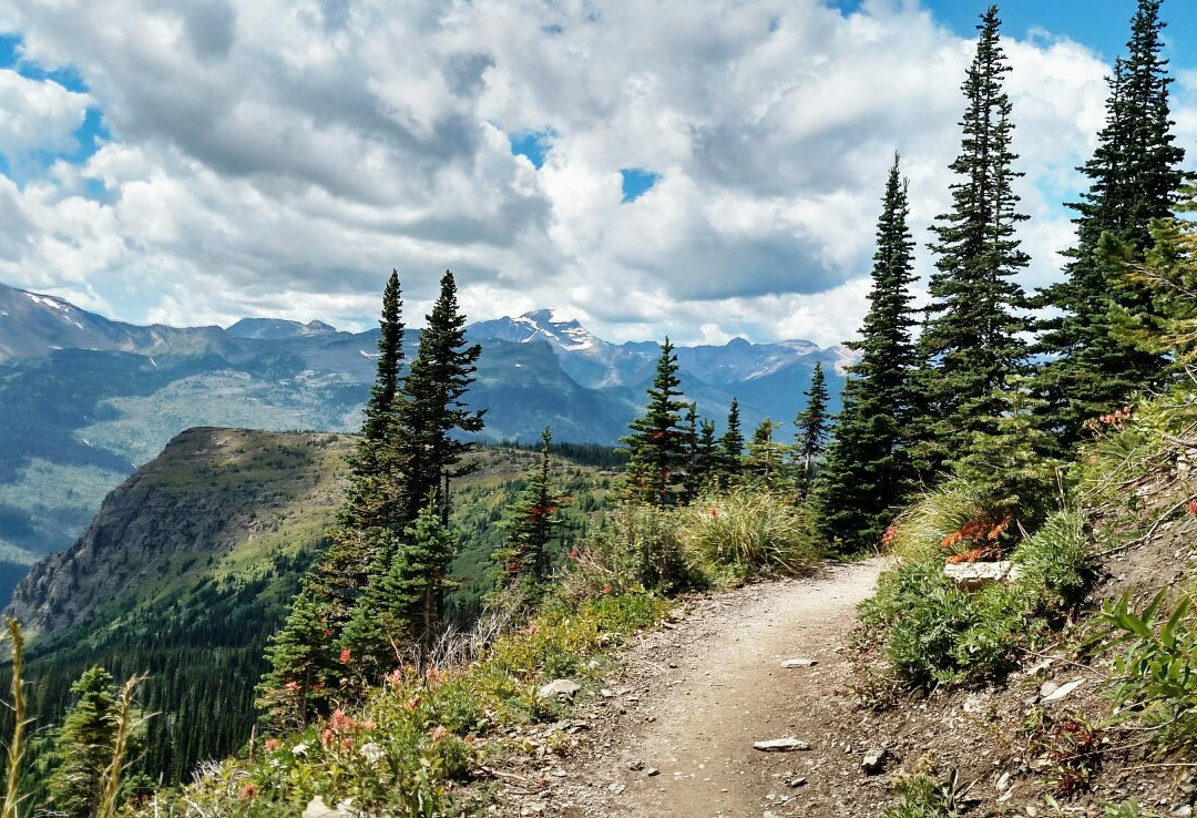 Glacier National Park Campgrounds