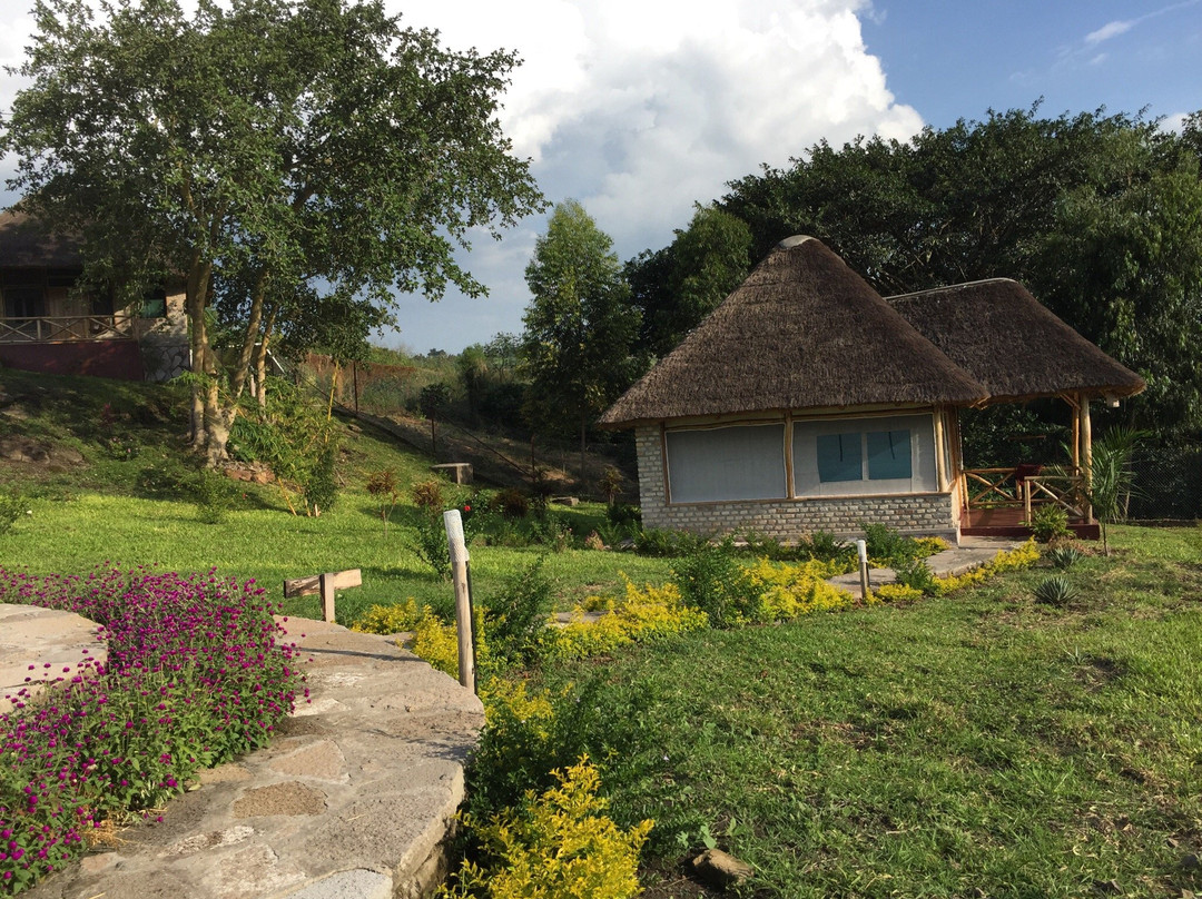 The Baboon Safari Resort