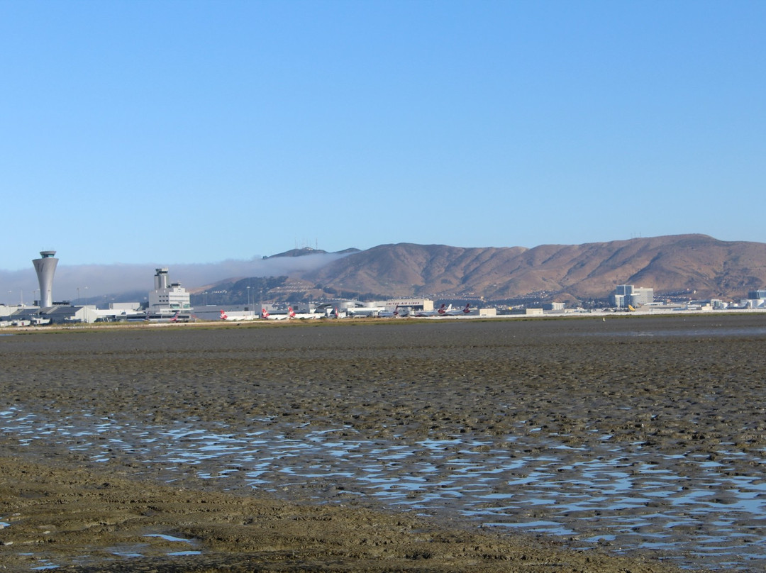 Bayfront Park-密尔布瑞必去景点