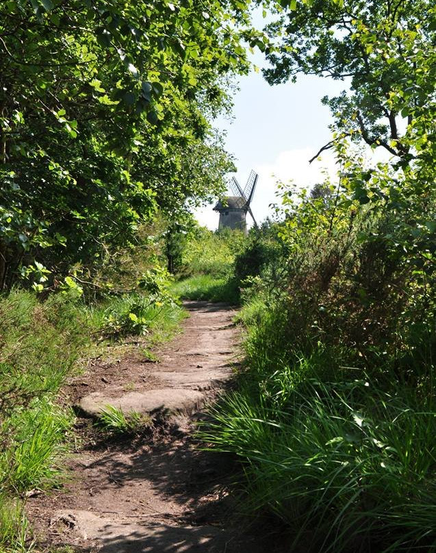 Bidston Hill-威勒尔必去景点