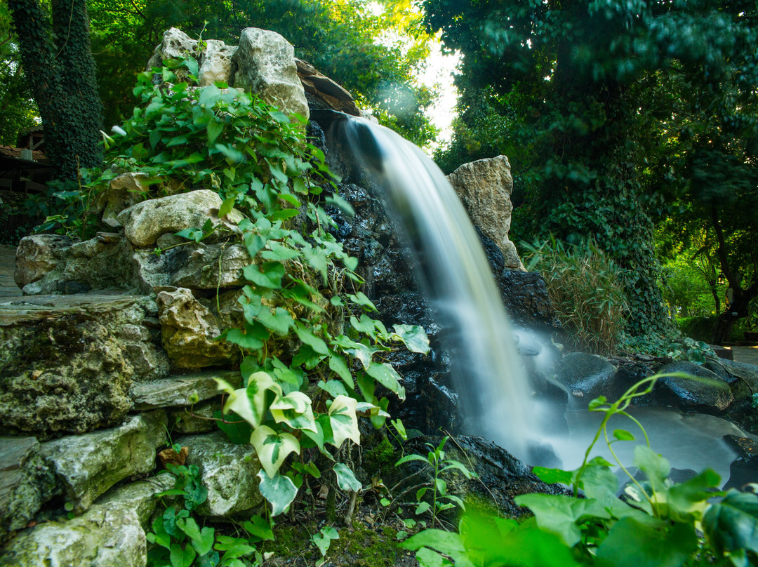 Cerkezkoy餐馆和美食-Yali Restaurant