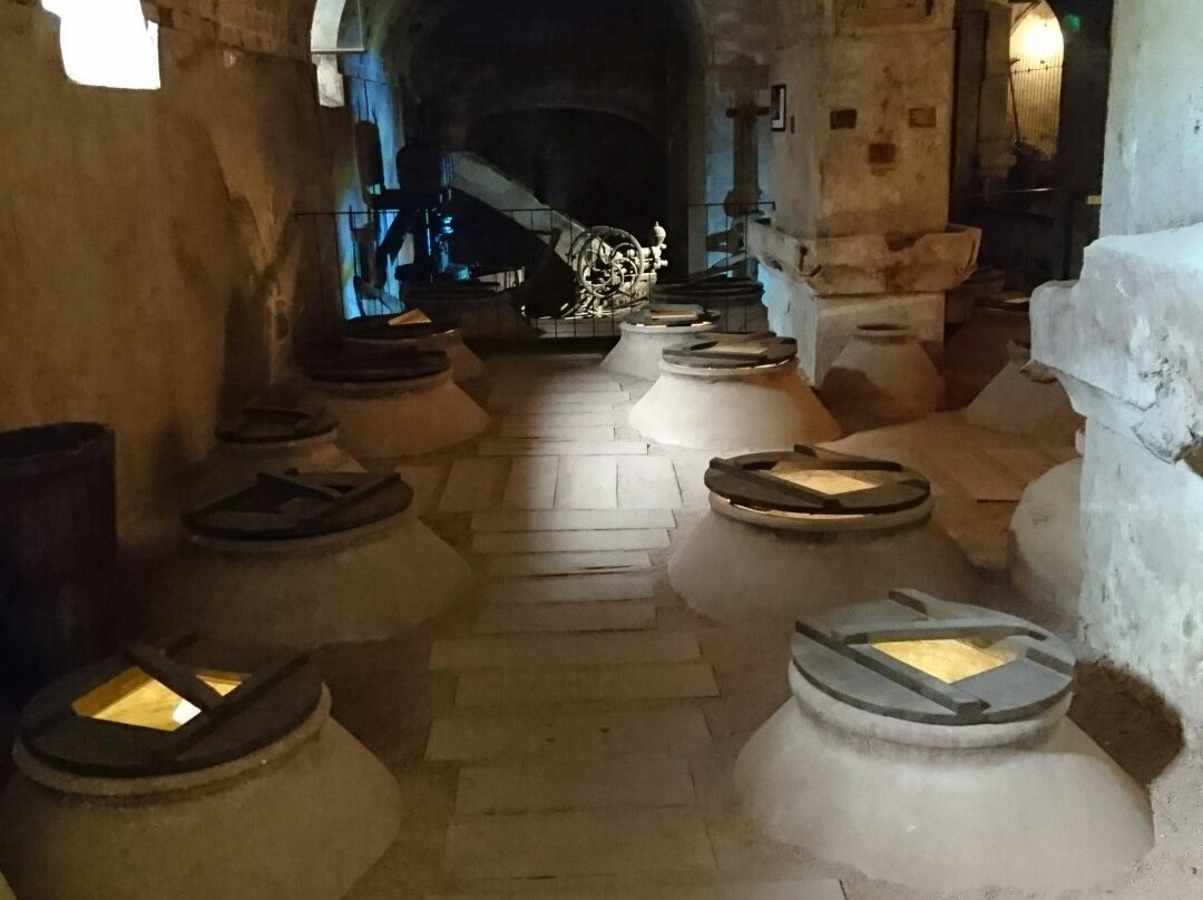 Museo del Vino-Bullas必去景点