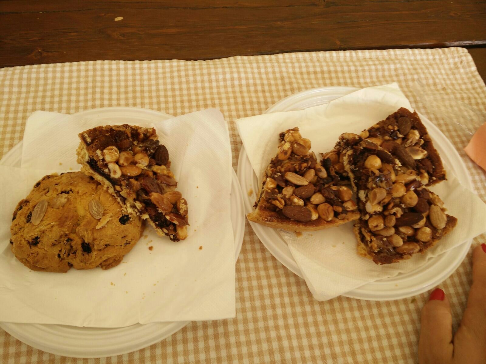 B&B Il Tulipano-官方