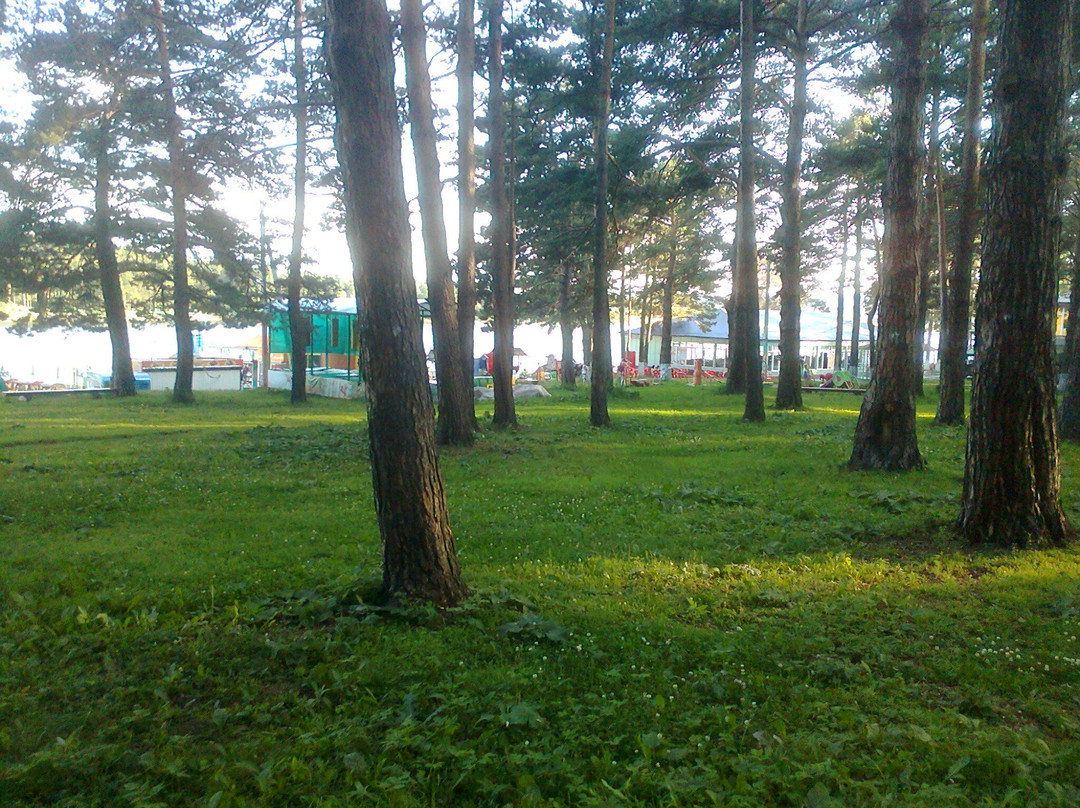 Zenkovskiy Park-Prokopyevsk必去景点