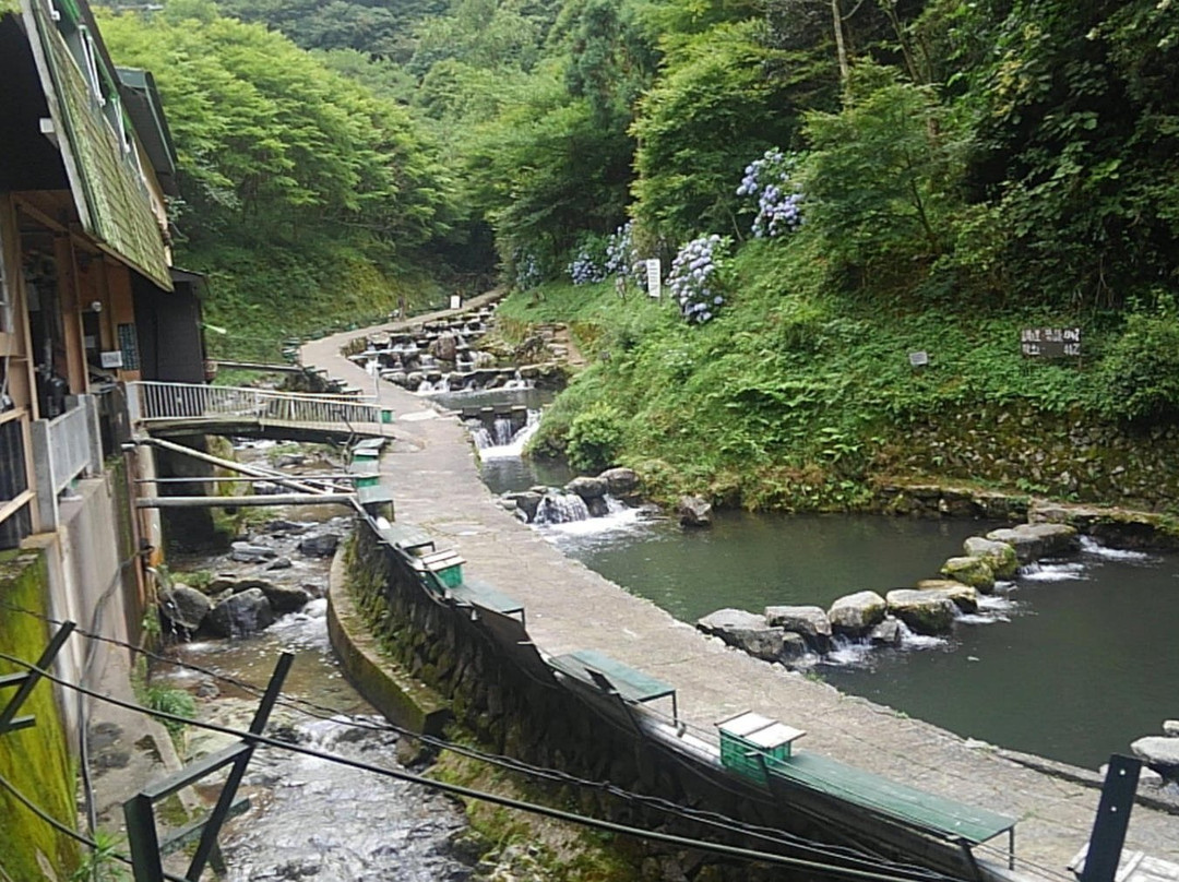 Chihayagawa Masu Fishing Area-千早赤阪村必去景点