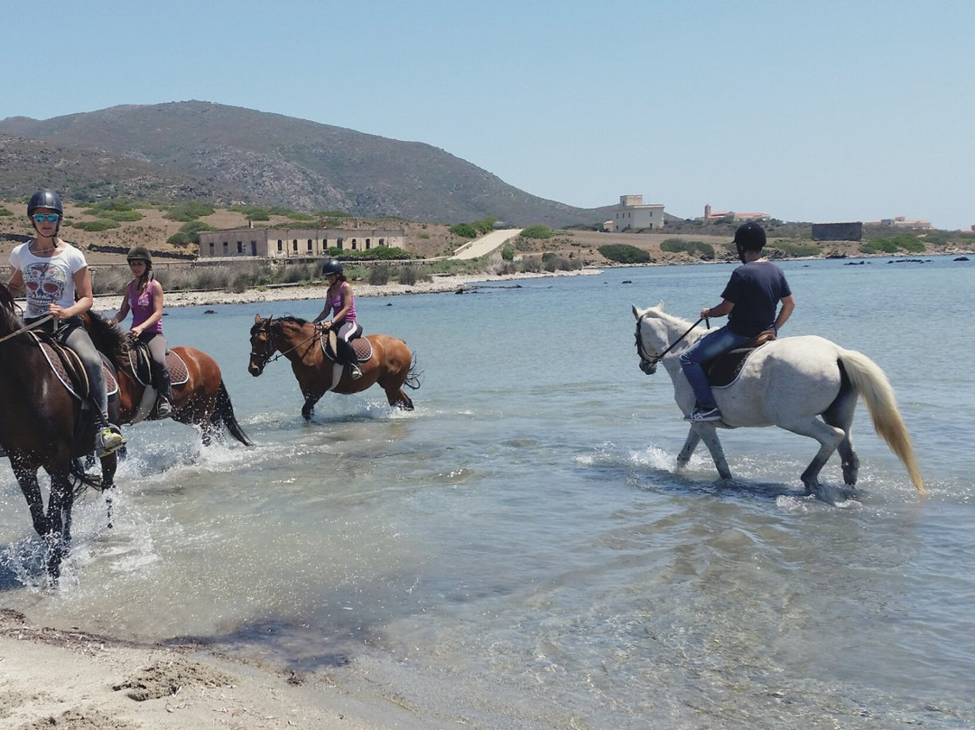 Assial Cavalcando L'Asinara-Asinara必去景点