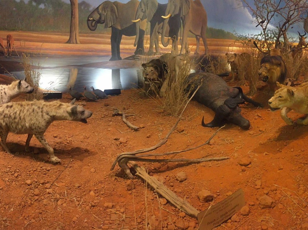 Cabela's-沃思堡必去景点