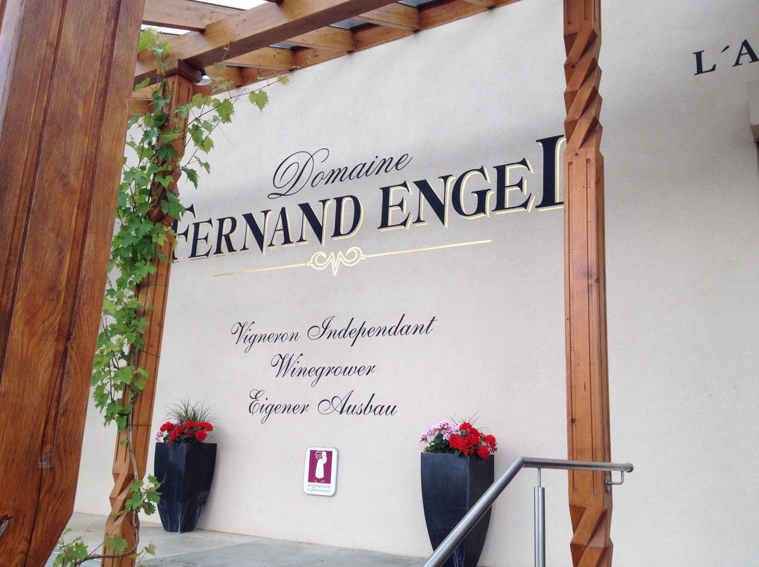Domaine Fernand Engel景点图片