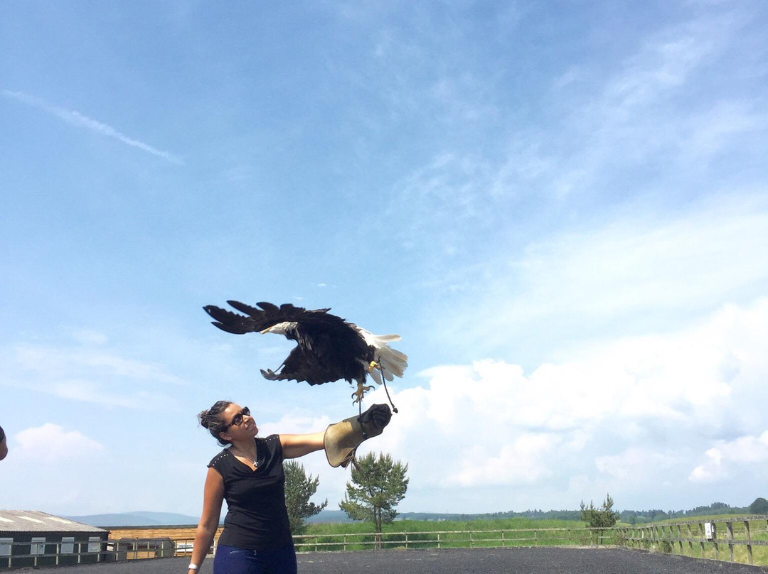 Phoenix Falconry-Blackford必去景点