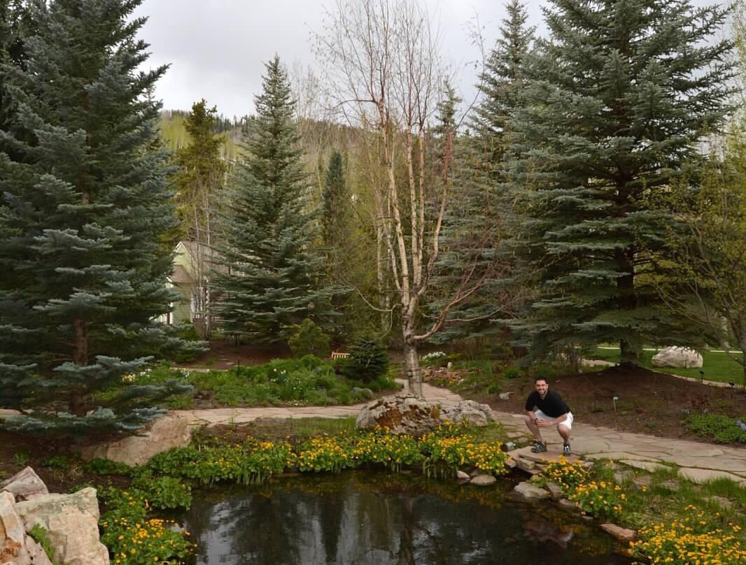 Gerald R. Ford Amphitheater (The Amp)-韦尔必去景点