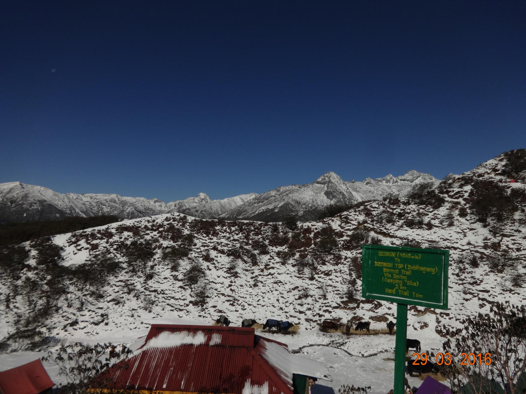 Dzongri La-West Sikkim必去景点