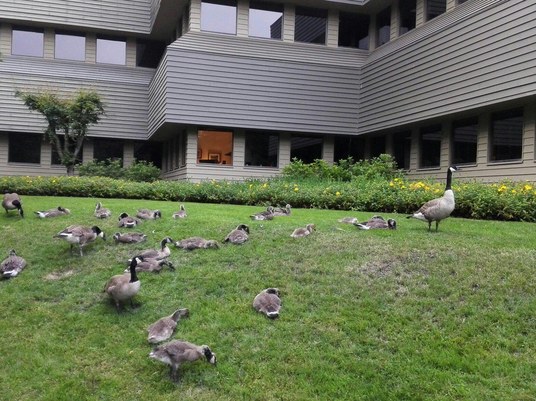 Willamette River-尤金必去景点