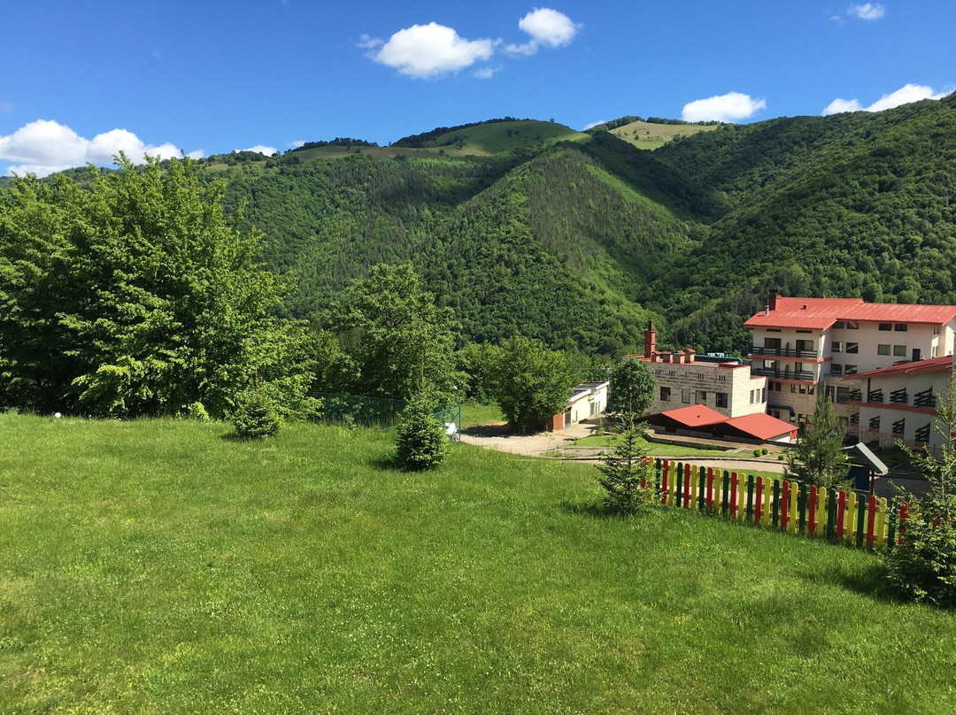 Park Hotel Ribaritsa主图