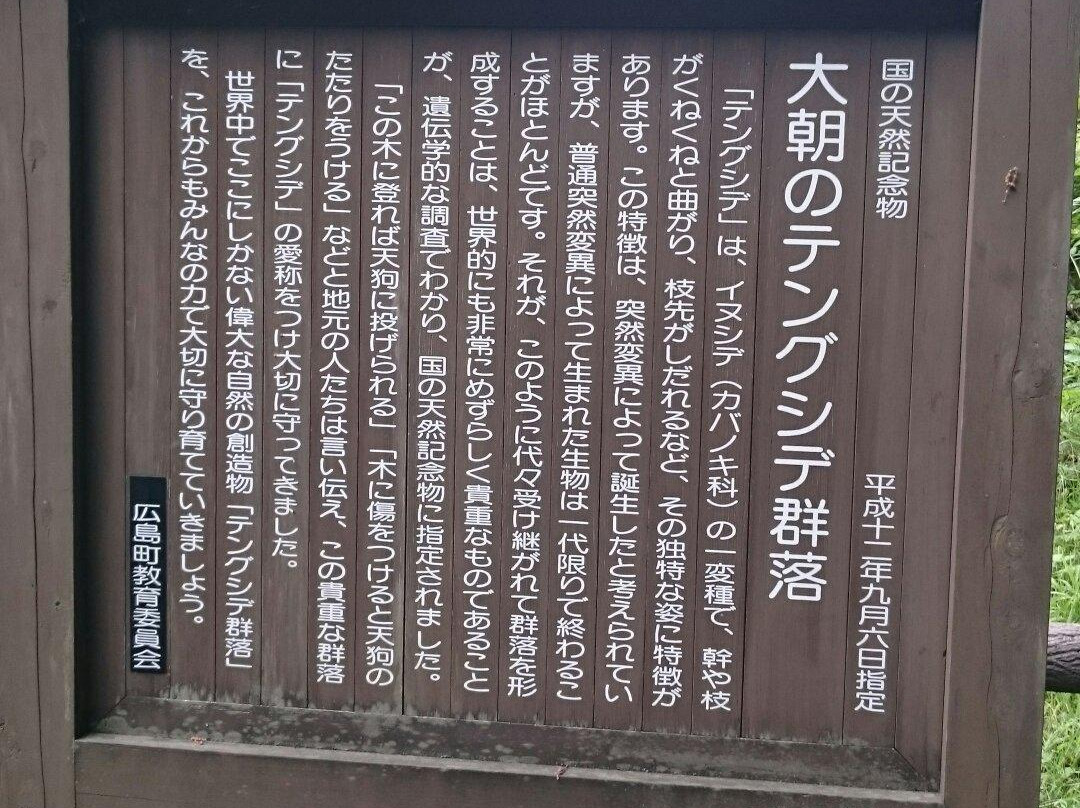 Tengushide Grove of Oasa景点图片