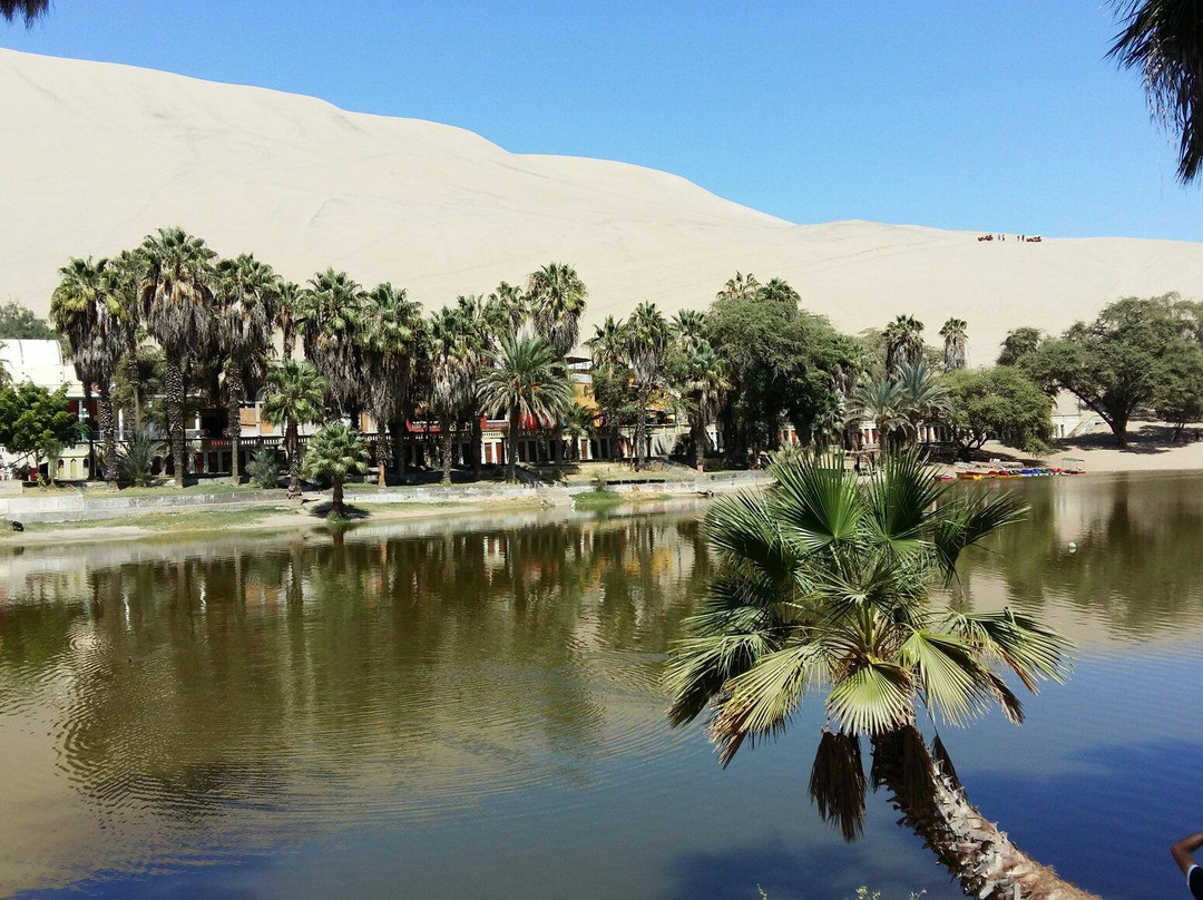 null-Huacachina