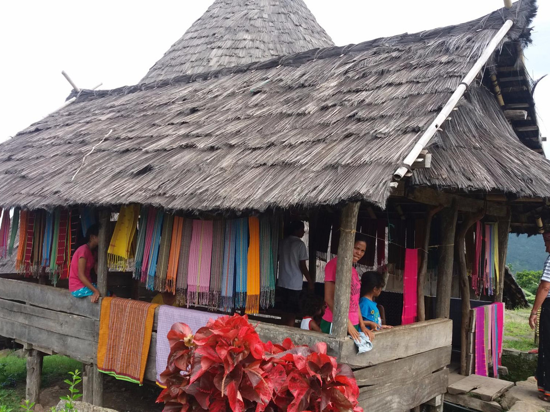 Tado Village景点图片