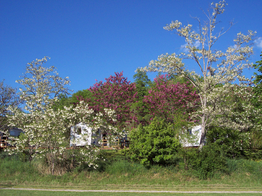 Camping Du Lac