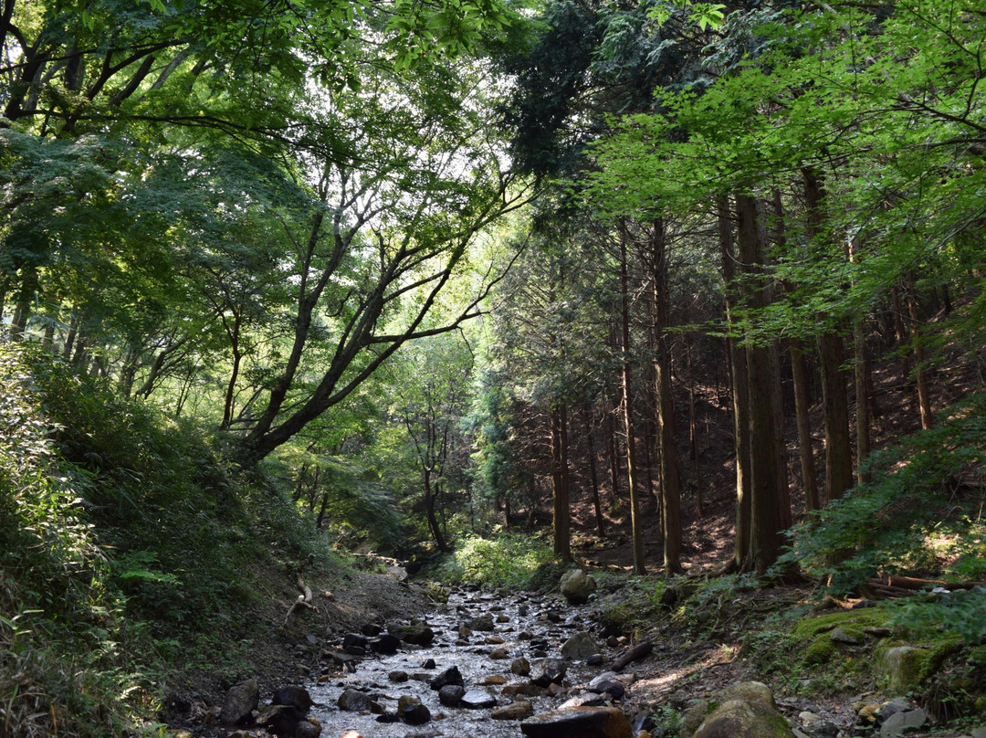 Yamashirocho Shinrin Park-木津川市必去景点