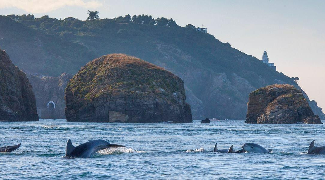 Adventure Sark-Sark必去景点