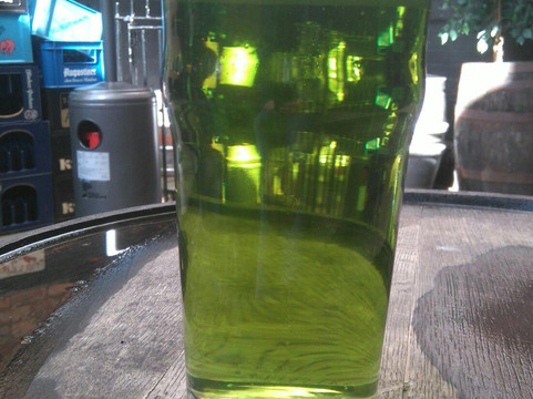 The Dog and Doublet Inn-沃尔夫汉普顿必去景点